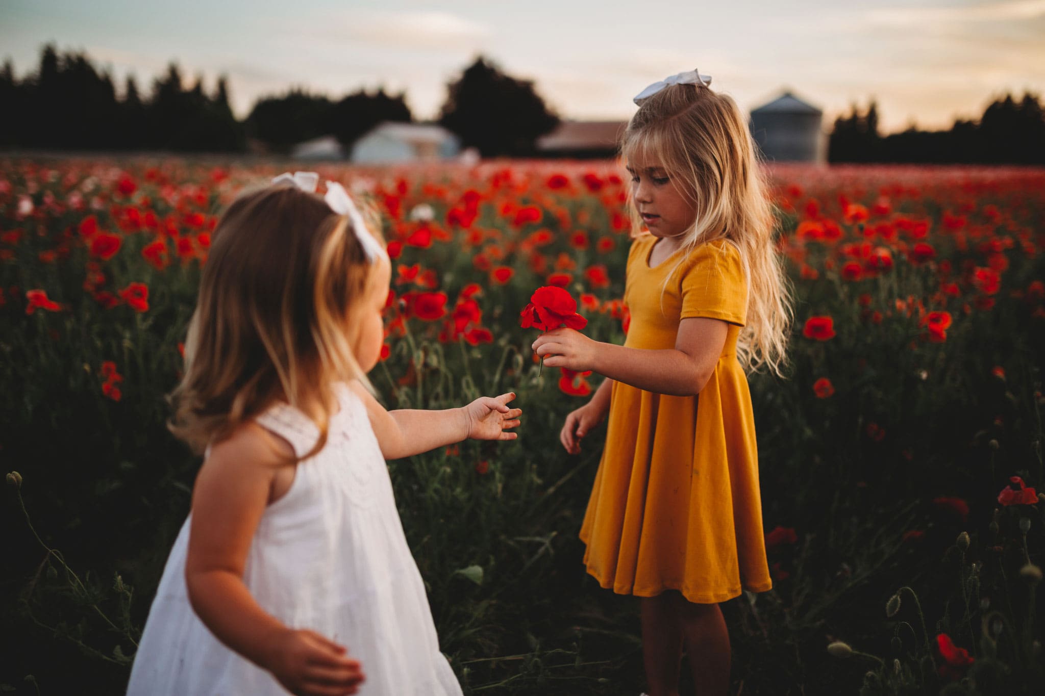 Sisters giving flower to each other