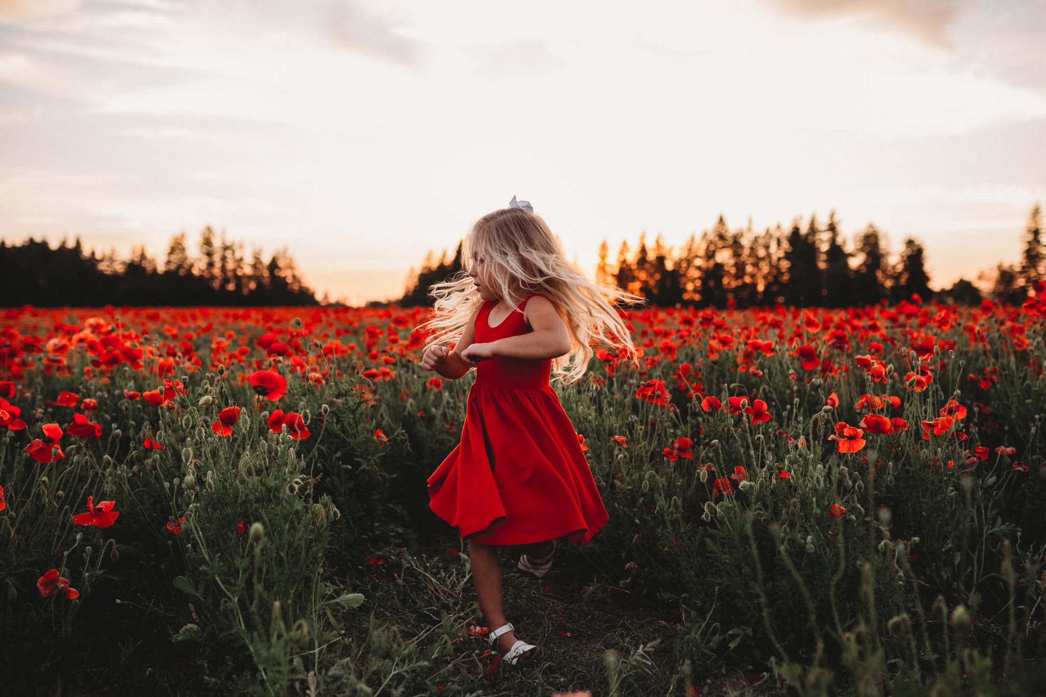 Little girl in red dress spinning in field of red poppies - Oregon Poppy Field