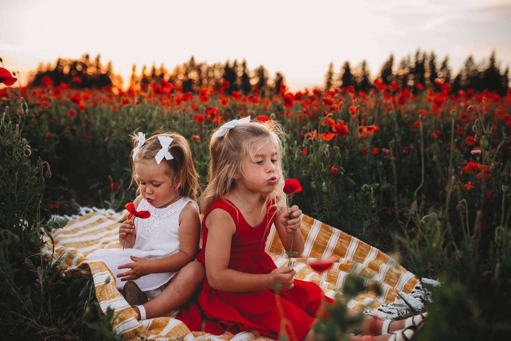 toddler girls blowing on flowers like they're dandelions - Oregon Poppy Fields