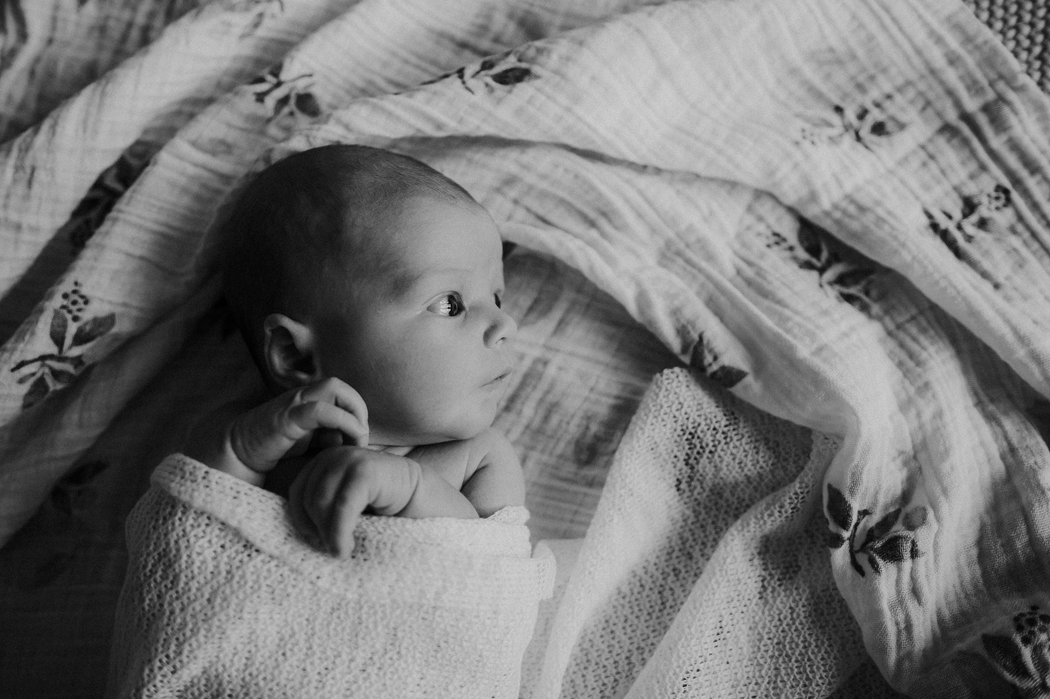Newborn Lifestyle Photography Portland Oregon