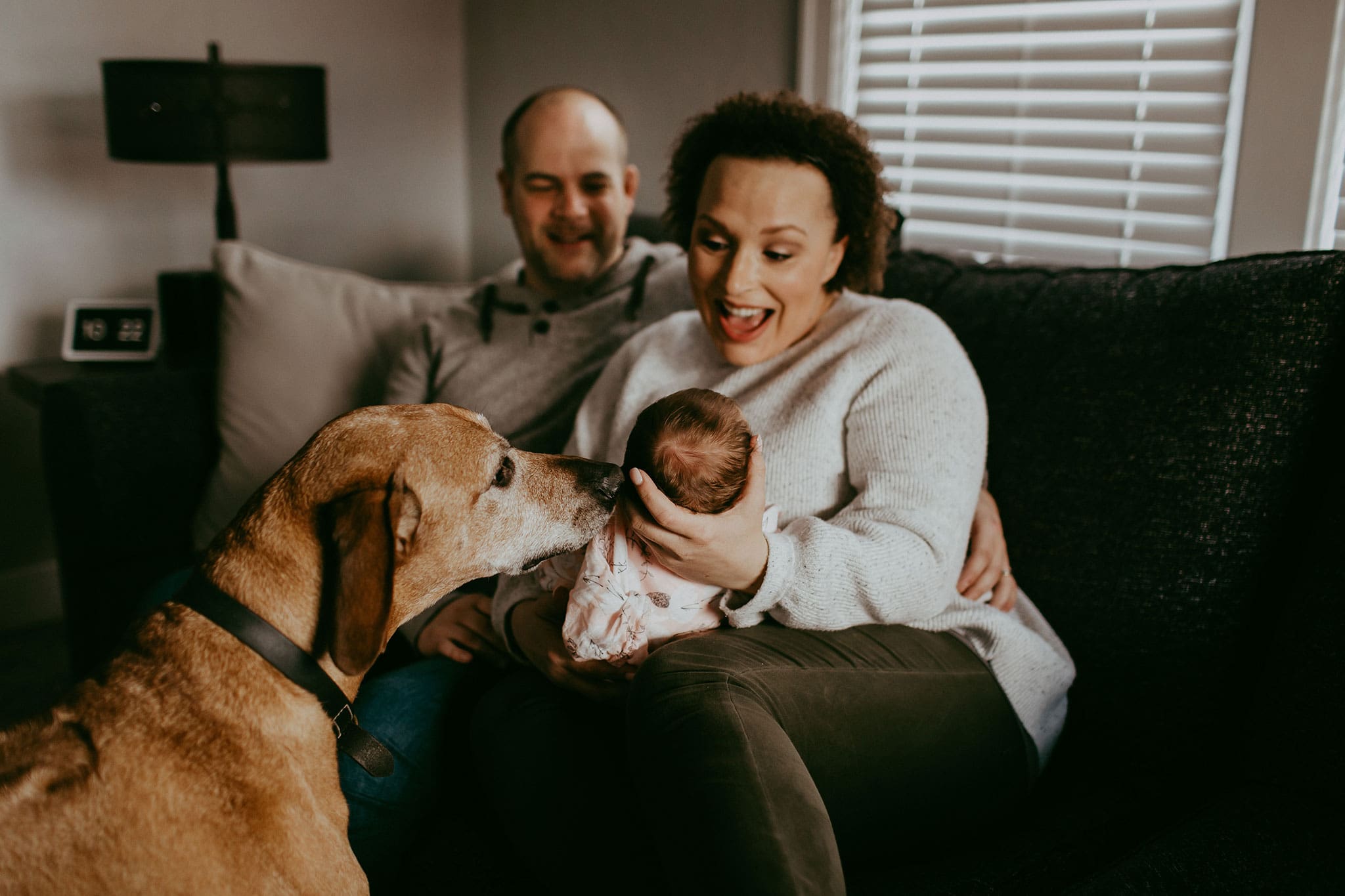 mom, dad, newborn baby, and dog