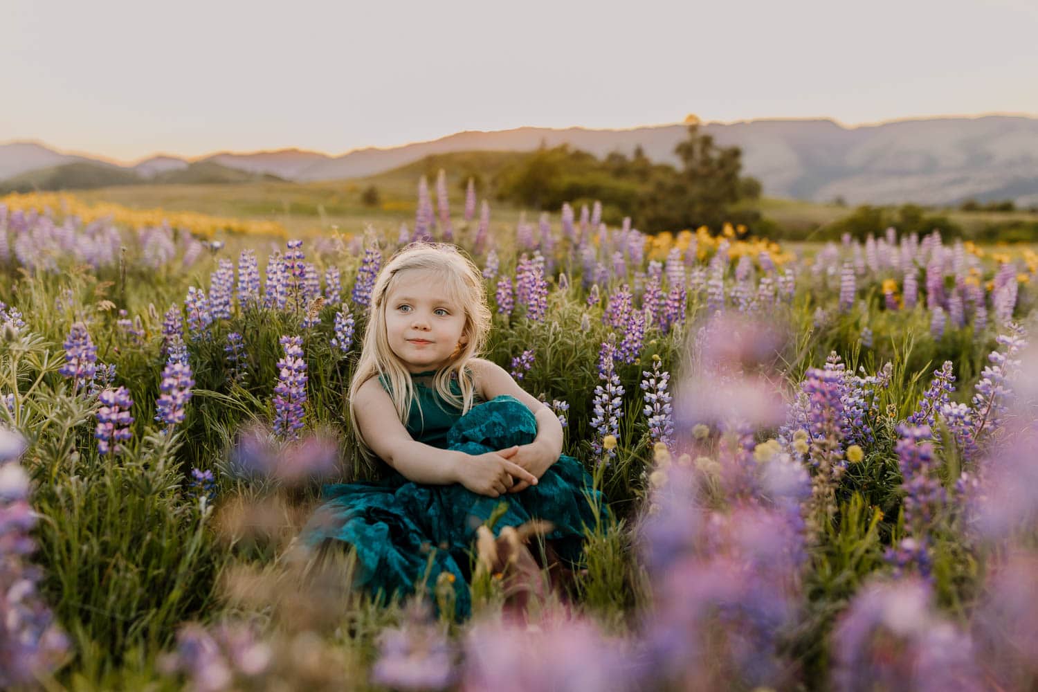 Little blonde girl among the lupine in Mosier, oregon