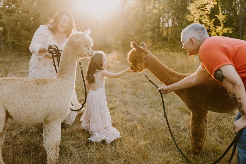 two moms and a daughter feeding alpacas together