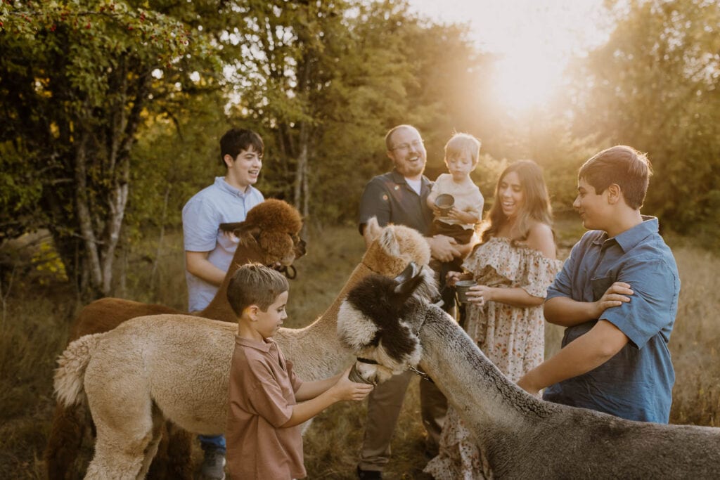 A family of six feeding alpacas during family photos