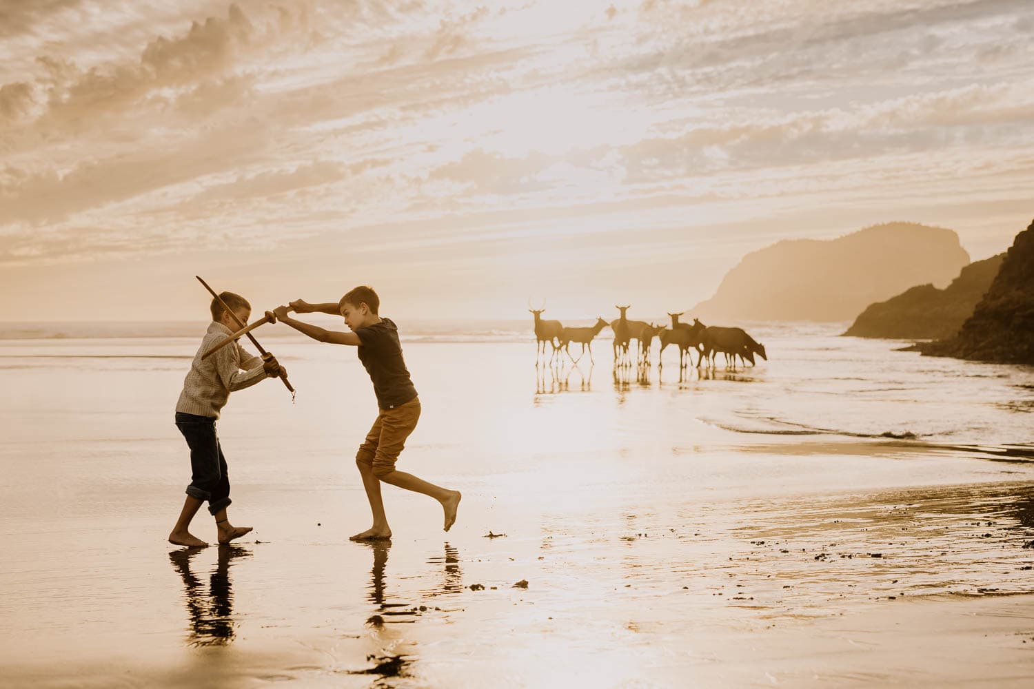 Two brothers play-fighting with wooden swords on the beach with elk behind them